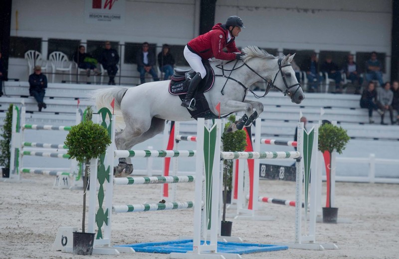 Foto: EVER D’HOOGPOORT (Clinton x Nabab de Rêve) in 2017 in de Provinciale Ruiterschool van Gesves