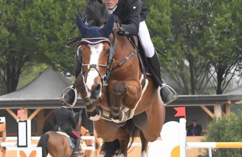 GEORGE ALEXANDER en mars 2019, Etrea Horse Show, Busto Arsizio (Stefano Sacchi Team)
