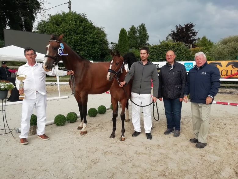  Le titre de « champion suprême des foals Libramont 2021 » a été attribué par le jury à une… championne : BELLE DU MAS D’EOLE Z, présentée par Jean Lefort (CR)