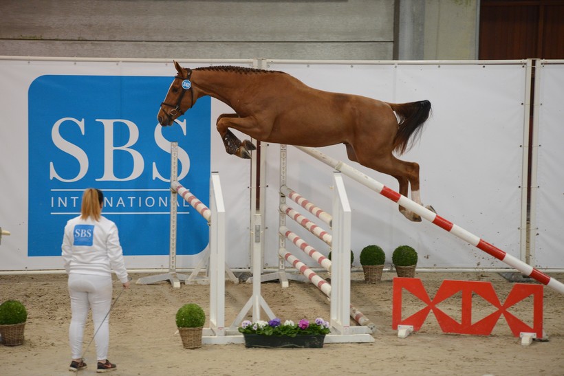Photo d'archive de l'édition 2020 de l'International Selection Show (Polilux)