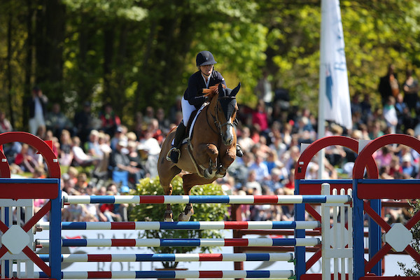 UGAULIN DU BOSQUETIAU (Kashmir van Schuttershof x Sea Harvest) (hippofoto)